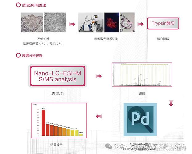 肝癌血漿microRNA標志物檢測報告系統 臨床質譜檢測企業的新藍海